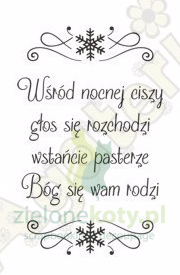 wśród nocnej ciszy.jpg
