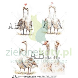 Papier ryżowy decoupage  AB Studio A4 zakochane gąski