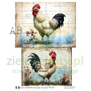 Papier ryżowy decoupage  AB Studio Carte Italiano A4  Kogut  