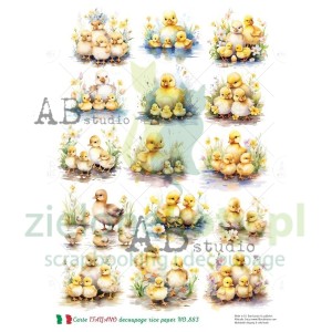 Papier ryżowy decoupage  AB Studio Carte Italiano A4 Kaczuszki