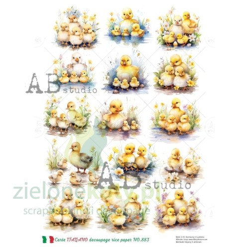 papier ryżowy A4 kaczuszki.jpg