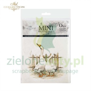 Papier ryżowy ITD Collection 15x15cm 6szt gęsi kaczki