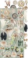papiery-scrapbookin-craftoclock-lifetime-loving-you3.jpg