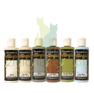 Farby akrylowe Stamperia Allegro A new beginning art 60ml / 6szt 