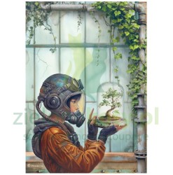 Papier ryżowy decoupage Stamperia A4 A new beginning terrarium