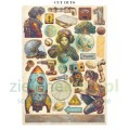 papier-scrapbooking-junk-journal-stamperia-a-new-beginning7.JPG