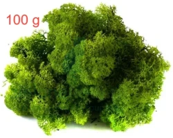 Mech chrobotek preparowany zielony 100g