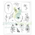 stempel-sizzix-floral-frames1.JPG