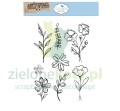stempel-elizabeth-flower-scribbles.JPG