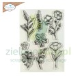 stempel-elizabeth-flower-scribbles1.JPG