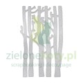 wykrojnik-dpcraft-brzoza1.jpg
