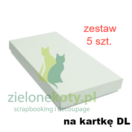 pudełko-dl-białe-5-szt.jpg