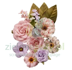 Kwiatki Prima Sweet Spring Lovely garden 12 szt.