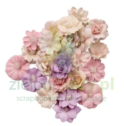 Kwiatki Prima Sweet Spring Spring Blooms 24 szt.