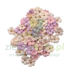Kwiatki Prima Sweet Spring Sweet Raindrops 90 szt.
