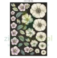 papier-scrapbooking-stamperia-gardens-of-time10.JPG