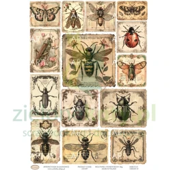 Papier ryżowy decoupage Artistiko Insects 01 owady