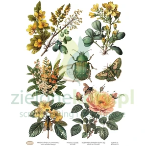 Papier ryżowy decoupage Artistiko Plants 01 kwiaty owady