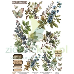 Papier ryżowy decoupage Artistiko Plants 04 kwiaty motyle