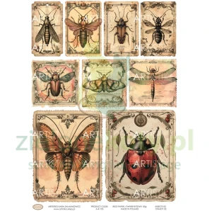 Papier ryżowy decoupage Artistiko Insects 02 owady