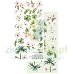 Papier do scrapbookingu 15x30 Alchemy Of Art dodatki do wycinania Wild Adventures kwiaty