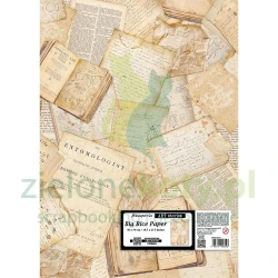 Papier ryżowy decoupage Stamperia All Around listy