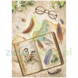 Papier ryżowy decoupage Stamperia A4 All Around książka
