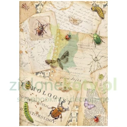 Papier ryżowy decoupage Stamperia A4 All Around listy