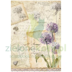 Papier ryżowy decoupage Stamperia A4 All Around czosnek