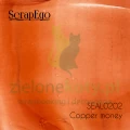 SEAL00202 Copper money.jpg
