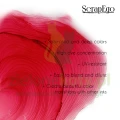 SEAL025 Bright lipstick color 2.jpg