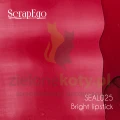 SEAL025 Bright lipstick.jpg