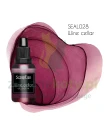 SEAL028 Wine cellar color.jpg