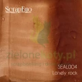 SEAL004 Lonely rock.jpg