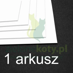 Plastik do tuszów alkoholowych Scrapego A4 / 1szt. biały