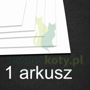 Plastik do tuszów alkoholowych Scrapego A4 / 1szt. biały