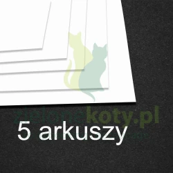 Plastik do tuszów alkoholowych Scrapego A4 / 5szt. biały 
