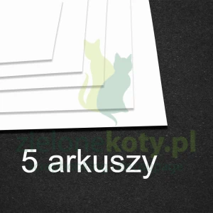 Plastik do tuszów alkoholowych Scrapego A4 / 5szt. biały 