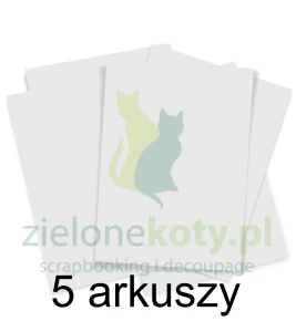 Papier syntetyczny do tuszów alkoholowych Scrapego A4 / 5szt.