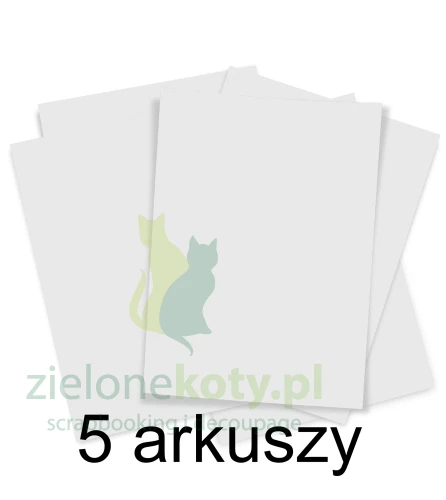Synthetic paper.jpg