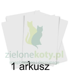 Papier syntetyczny do tuszów alkoholowych Scrapego A4 / 1szt.