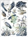 Transfer-re-design-with-prima-silver-heron-85x11-inch-middy-transfer (1).webp