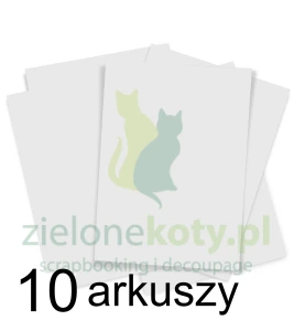 Papier syntetyczny do tuszów alkoholowych ScrapEgo A4 / 10szt.