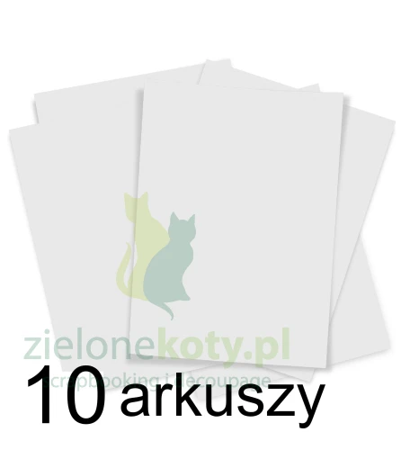 Synthetic paper.jpg