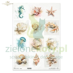 Papier ryżowy ITD Collection A3 motywy morskie muszle
