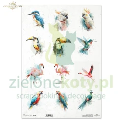 Papier ryżowy ITD Collection A3 egzotyczne ptaki