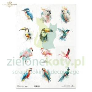 Papier ryżowy ITD Collection A3 egzotyczne ptaki