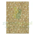 papier-scrapbooking-stamperia-oriental-garden1.JPG
