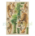 papier-scrapbooking-stamperia-oriental-garden11.JPG