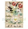 papier-scrapbooking-stamperia-oriental-garden13.JPG